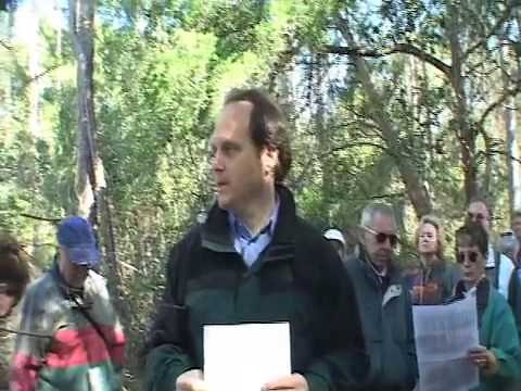 Beach Lady fights Developers to Save Crane Island, Florida