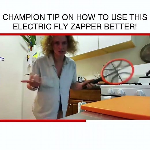 Champion tip on how to use this Electric fly zapper better!