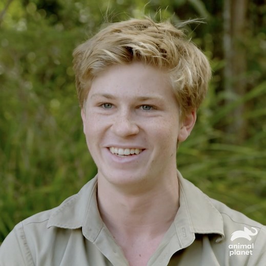 Robert Irwin is a natural when it comes to working with crocs. 🐊 Start the new year right with tonight’s season premiere of Crikey! It’s #TheIrwins at 8p on #AnimalPlanet, or streaming on discovery . | Animal Planet