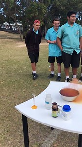 1.5K views · 32 reactions | Today Miss Robin’s year 9 science class got to witness a demonstration of an exothermic reaction between aluminium and iodine. after a failed first attempt, the students convinced Miss Robin not to give up and to try again! Heat was released causing the iodine to vaporise into a purple haze. The remaining reactants then caught on fire | Keebra Park State High School | Facebook