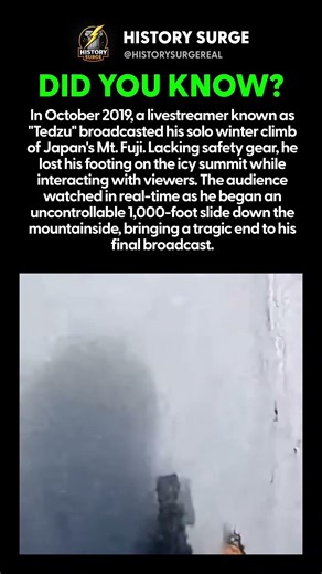 This Livestreamer FELL