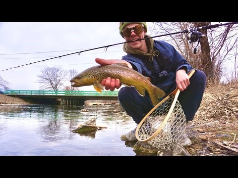 Urban Creek Fishing for BIG Brown Trout!! (My Secret Spot!)