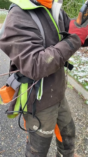 Sbe Paysagiste on Instagram: "Aujourd’hui, je vous montre comment reconnaître facilement les bourgeons à fruits et les bourgeons à feuilles sur un arbre fruitier. Une astuce simple, rapide et ultra pratique pour mieux comprendre votre arbre et anticiper sa future production. Dites-moi en commentaire si vous voulez d’autres tutos jardin pour vos arbres ! #astuces #paysagiste #landscape #amenagementexterieur #transformation #tuto"