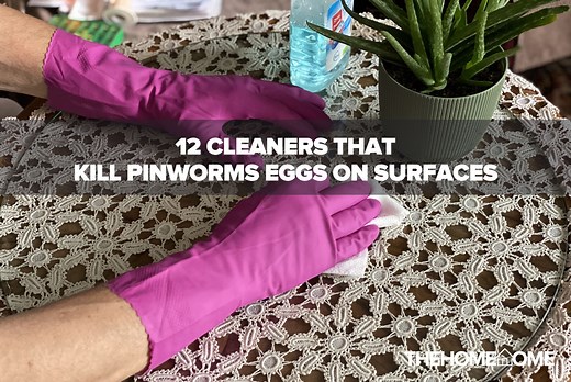 12 Cleaners That Kill Pinworms Eggs On Surfaces (2022) - The Home Tome