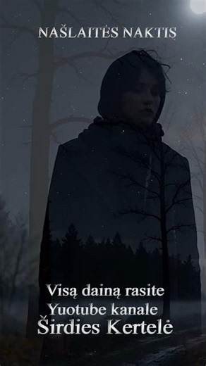 SALOMĖJA NĖRIS - NAŠLAITĖS NAKTIS (tik ištrauka) #lietuviskamuzika #music #shortvideo