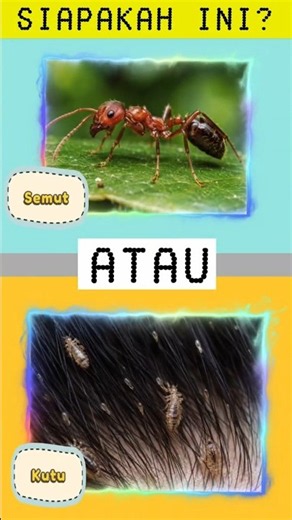 Tebak Gambar dalam 30 Detik! Tantangan Cepat Part 13 #tebaktebakan #tekateki #quiz #game #challenge