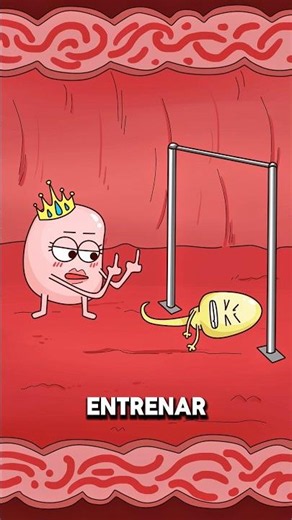 Why does poor sperm quality make it difficult to get pregnant? ⚠️🧬 #2dshow #health #fyp