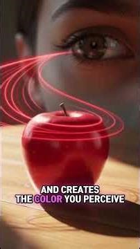 How Eyes Actually See Color