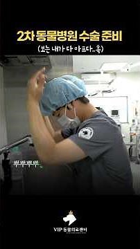 동물병원 수의사가 수술 직전 하는 일