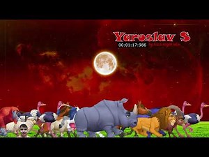 Animals Stampede | Ram Zam Zam 2