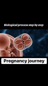 How fertilization process occurs #biology #fertilization #UnitedStates | Dr. Emily