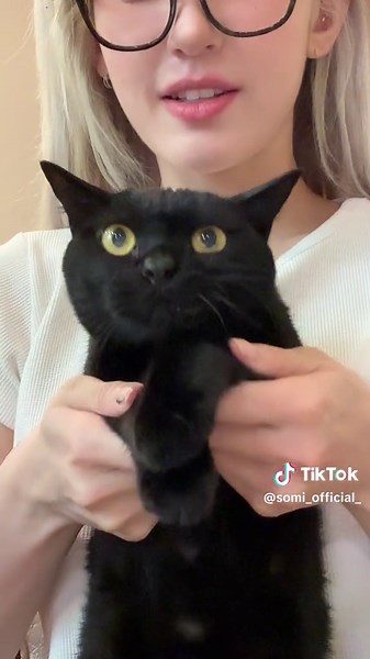 SOMI Fast Forward Challenge with Zorro the Cat