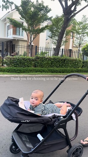 Comprehensive Nuna Triv Next Stroller Review for New Moms