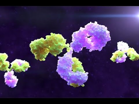 Mechanistic model-informed discovery & development of bispecific antibodies for immuno-oncology