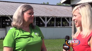 6.2K views · 48 reactions | Jefferson County 4-H Fair ~ Check out this Preview! Please Visit this Link on our Website for a Day-by-Day Schedule: https://wkmnews.com/4-h-preview/ | WKMNews.com | Facebook