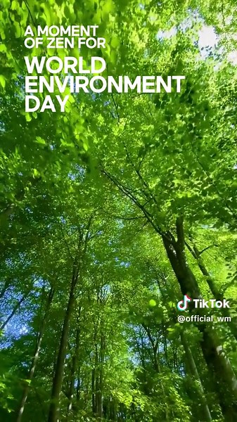 Sustainable Living Ideas for World Environment Day