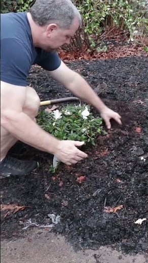 Planting lesson with @horttube? Class is in session! 📝