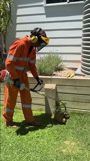 Lawn mowers weed eater for Kids Video | min min playtime dad yard work
