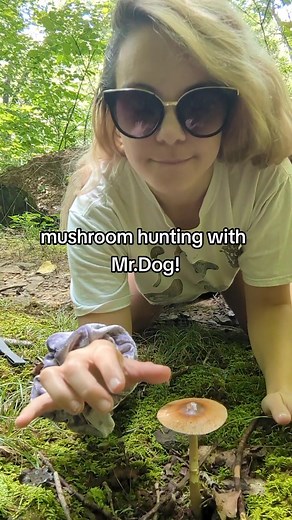 Mushroom Hunting Adventure with Mr. Dog