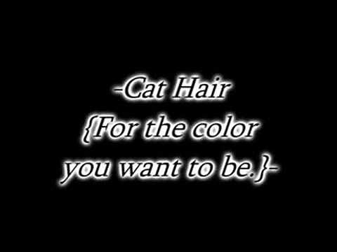 ☆How To Turn Into A Cat☆