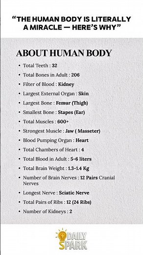 Amazing Human Body Facts 🧠💪