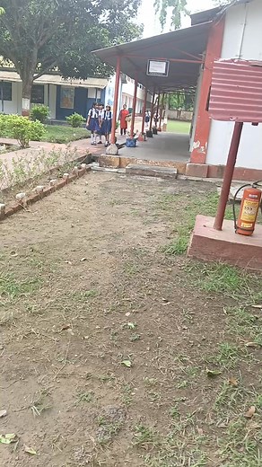 5.9K views · 141 reactions | Monthir school... | Wing Chun | Facebook