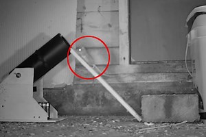 The Cannon Mouse Trap Is a Silly Way to Catch Rodents