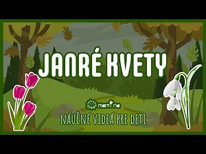 Jarné kvety | maminask