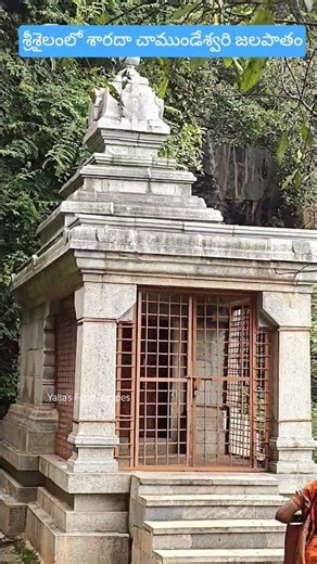 🌊 శ్రీశైలంలో శారదా చాముండేశ్వరి జలపాతం దివ్య దర్శనం 🌺 | Srisailam Saradha Chamundeswari Jala Patham