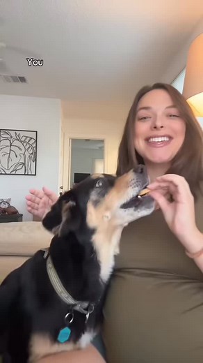 Russell is the star of the show even though he doesn’t get much screen time. This is just one of the many reasons being a dog mom creator makes me not want to share my baby in this way. I have soooo many other reasons. Let me know if you want to hear more! | Booplethesnoot