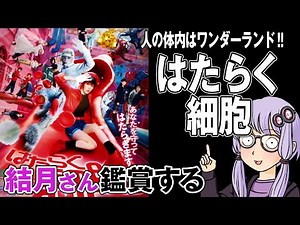 Cells at Work YouTube