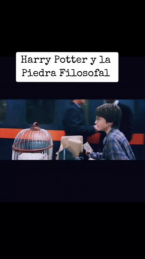 Harry Potter y la Piedra Filosofal: Película Completa