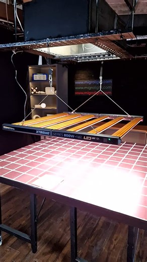 MIGRO on Instagram: "The Dimlux Xtreme is the most advanced grow light I have ever tested. Spectrum tunable with lensing and even a de-ioniser! The performance is also excellent. More expensive than most lights at this wattage but good value when you consider the features and performance. Congratulations to Dimlux on a great fixture. . #dimlux #migrolight #growlighting"