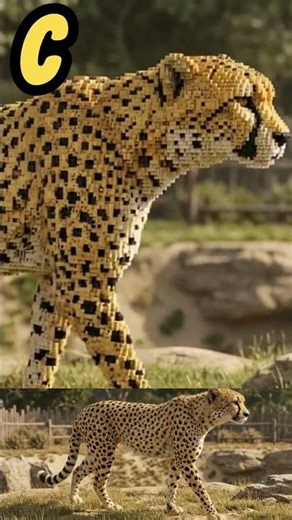 ABC Animal Sounds Song - Antelope, Buffalo, Cheetah & Deer! #alphabetsong #kidssongs #learning