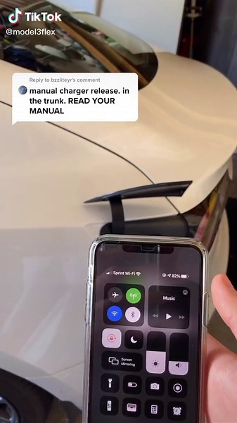 Brandon | Tesla Flex on TikTok