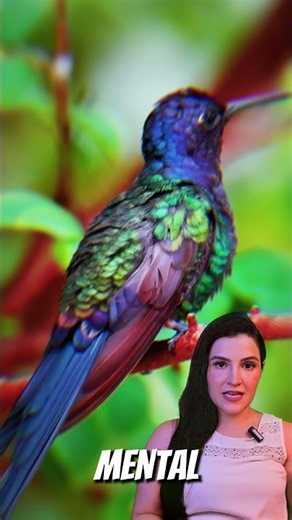 The Incredible Secret Of The HUMMINGBIRD