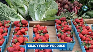 The Chesterfield County Farmers Market is now open! Every Wednesday from 11 a.m. to 2 p.m. through Sept. 28, come out, support local vendors and enjoy fresh produce and local goods. 復凌 The #Cfield Farmers Market is located at 6701 Mimms Loop, Chesterfield, VA. We hope to see you there!  Visit www.chesterfield.gov/farmersmarket to learn more. | Chesterfield County Virginia Government | Facebook