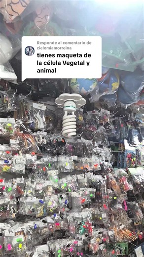 Célula vegetal: modelos 3D, planos y bolitas - ideas para proyecto