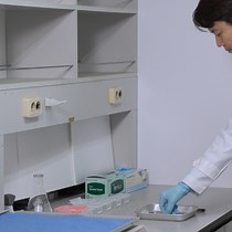 Use of Micro X-ray Computed Tomography with Phosphotungstic Acid Preparation to Visualize Human Fibromuscular Tissue