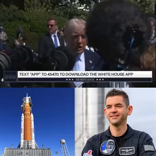 🚨 WOW! President Trump gave HUGE praise to NASA Administrator Jared Isaacman as Artemis II reaches the moon“Jared's done a FANTASTIC job at NASA. He’s amazing! Everybody told me he was gonna be good. I didn't know he'd be THAT good.”Proud to have been one of those people! 🇺🇸And Jared’s just getting started.
