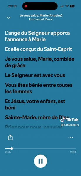 Je Vous Salue Marie #priere#jevoussaluemarie#paroles #fyp