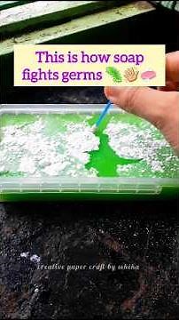 Magic powder and soap science Experiment for kids | Fun and easy to do ✅💁🏻‍♀️#short #youtubeshorts