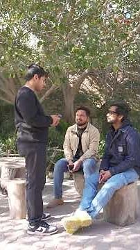 Celebrating World Logic Day at TDF!