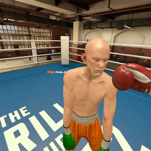 Knockout montage Thrill of The fight