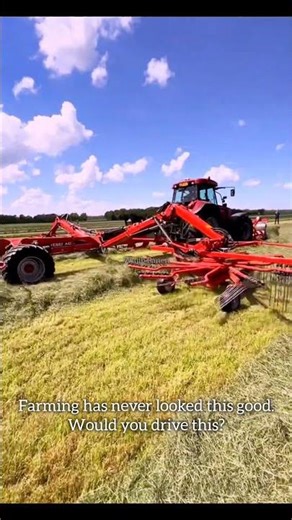 The Most Satisfying Way to Harvest Hay 🌾 #satisfying #harvest #shorts