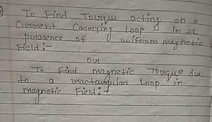 To Find Torque acting on a current Carrying Loop in th - presen... | Filo