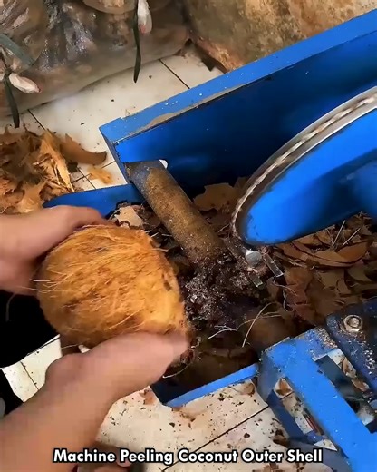 Machine Peeling Coconut Outer Shell #CoconutMachine #ToolWork #SmartMachine #IndustrialProcess #PowerMotion | lamaestramiel