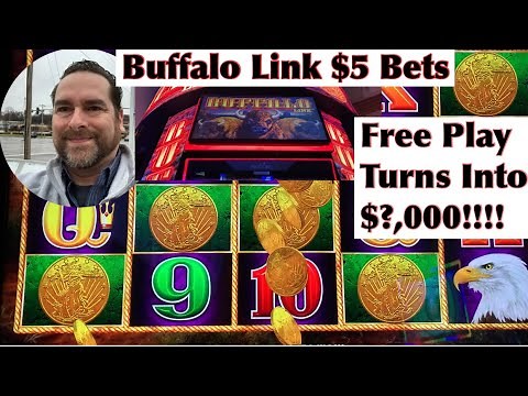Incredible Buffalo Link Bonus Run at $5 bets -- How Many Thousands of Dollars Will I Cash Out?