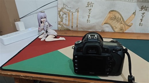 尼康d90使用教程，小白的使用总结碎碎念