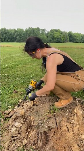 WOOD you try this? Using a drill attachment to grind a stump #stump #drill